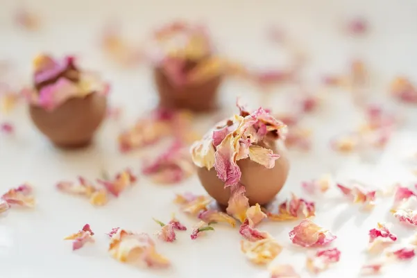 קזינו האיטי וין אפליקציית Android/iOS